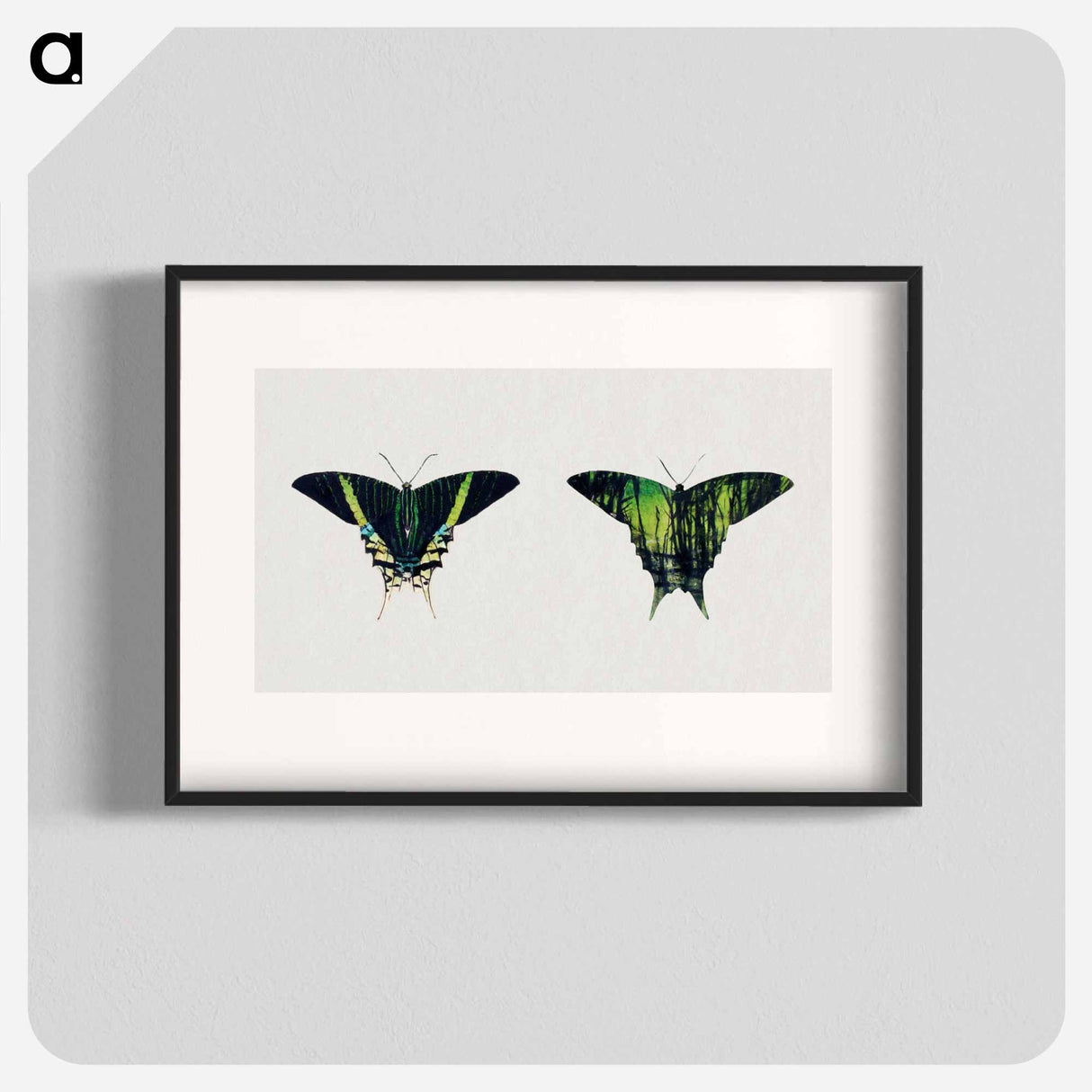 Urania Moth - アボット ハンダーソン セイヤー Poster.