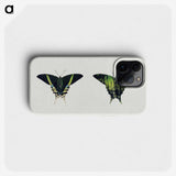1-18_Abbott-Handerson-Thayer_phone