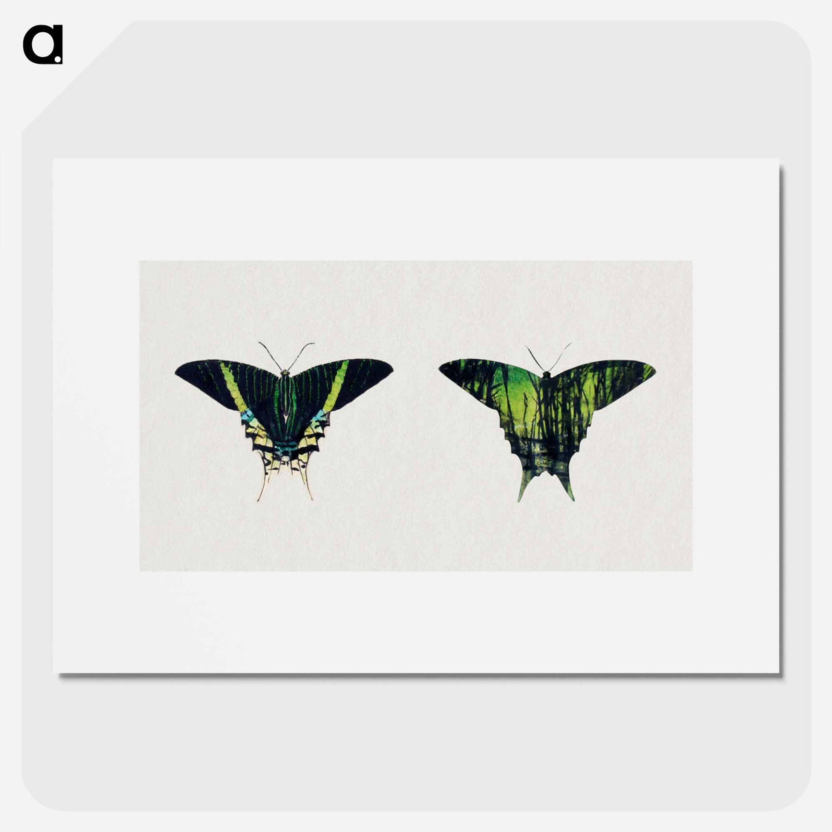 Urania Moth - アボット ハンダーソン セイヤー Poster.