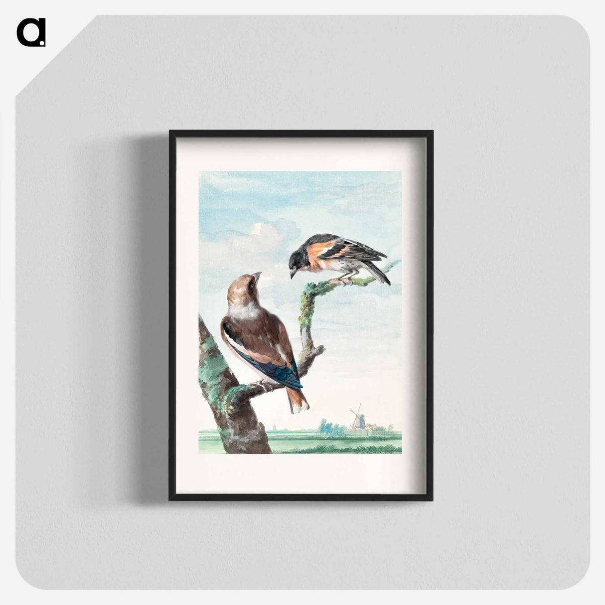 Two birds: hawfinch - アールト シューマン Poster.