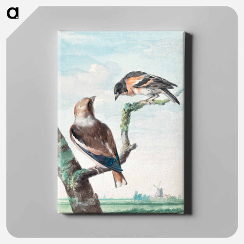 Two birds: hawfinch - アールト シューマン Canvas.