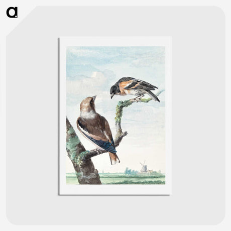 1-18_Aert-Schouman_hagaki