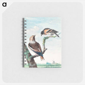 アートメモ帳-Two birds: hawfinch - アールト シューマン Memo.