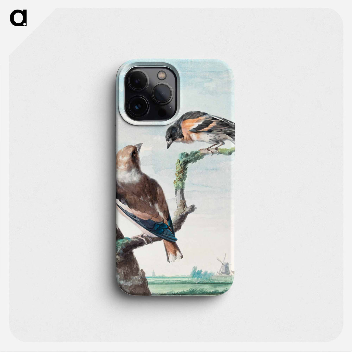 Two birds: hawfinch - アールト シューマン Phone Case.