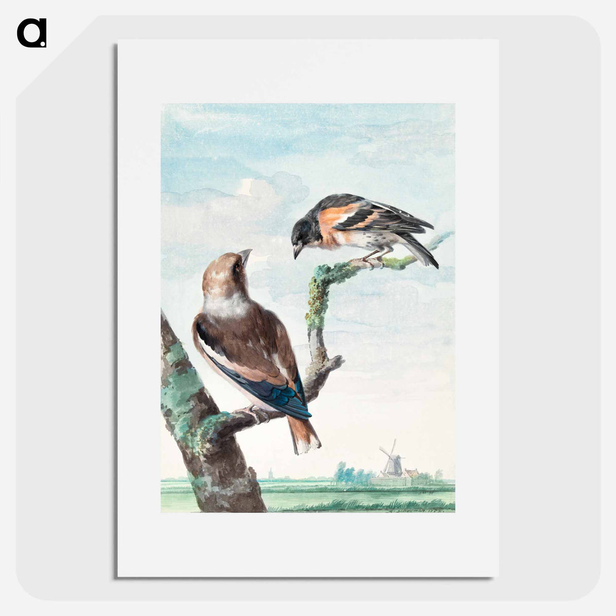 Two birds: hawfinch - アールト シューマン Poster.
