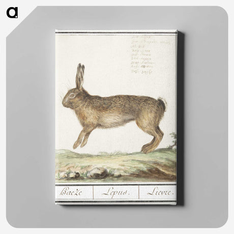 1-18_Anselmus-Boetius-de-Boodt_canvas