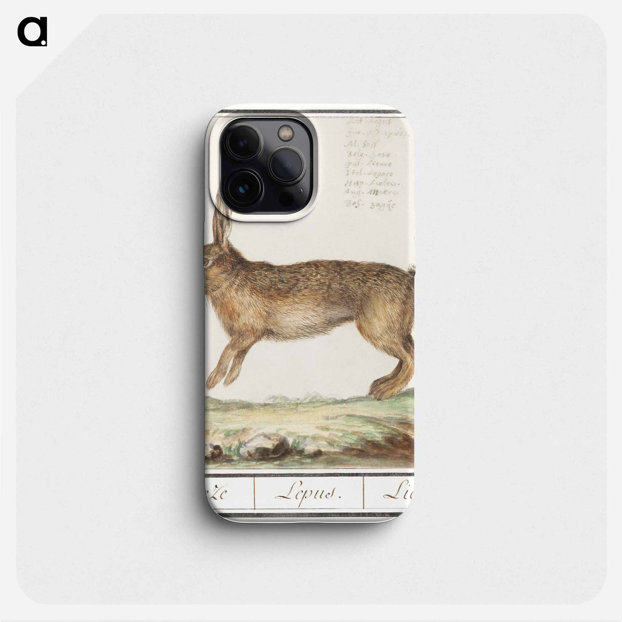 Hare, Lepus europaeus - アンセルムス ボエティウス デ ブート Phone Case.