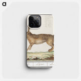 Hare, Lepus europaeus - アンセルムス ボエティウス デ ブート Phone Case.