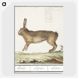 1-18_Anselmus-Boetius-de-Boodt_picture-crop