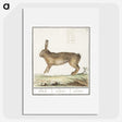 1-18_Anselmus-Boetius-de-Boodt_picture