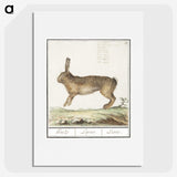 1-18_Anselmus-Boetius-de-Boodt_picture