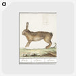 1-18_Anselmus-Boetius-de-Boodt_postcard