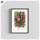 1-18_Botanical-Specimen-Plates_blk