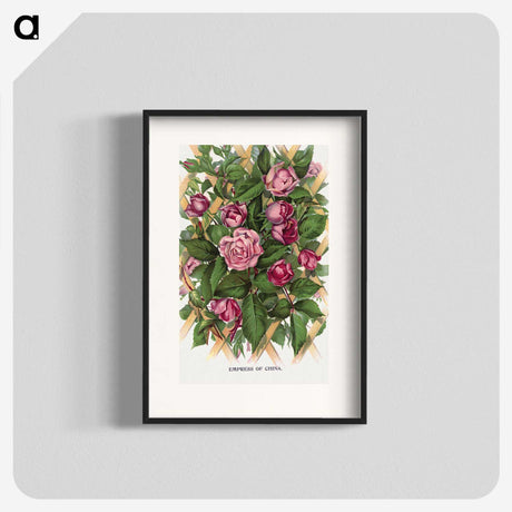 1-18_Botanical-Specimen-Plates_blk
