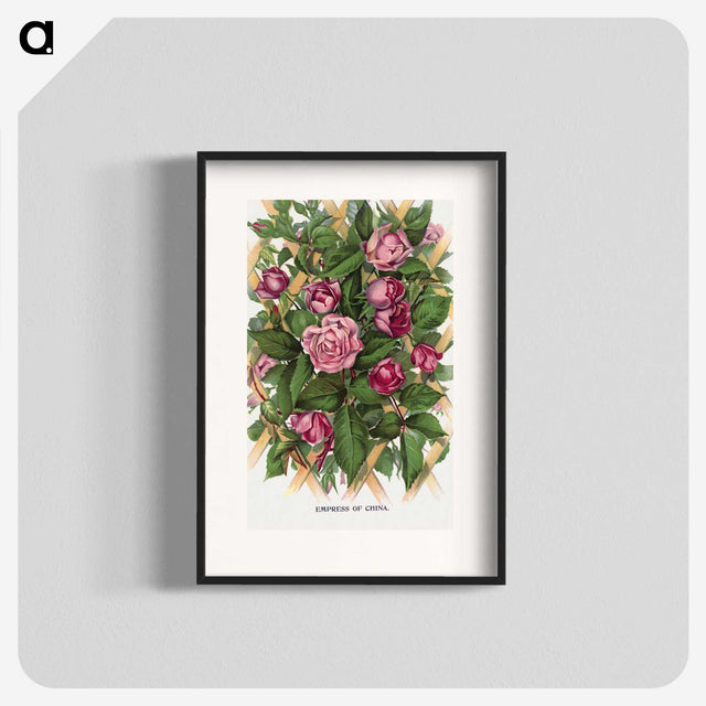 1-18_Botanical-Specimen-Plates_blk