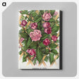 1-18_Botanical-Specimen-Plates_canvas
