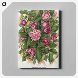 1-18_Botanical-Specimen-Plates_canvas