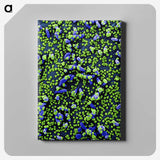 1-18_COVID-19_canvas