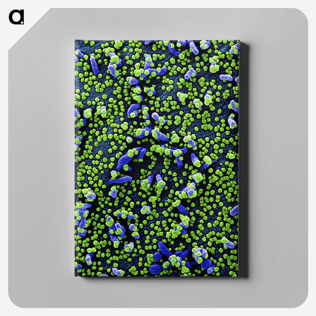 1-18_COVID-19_canvas