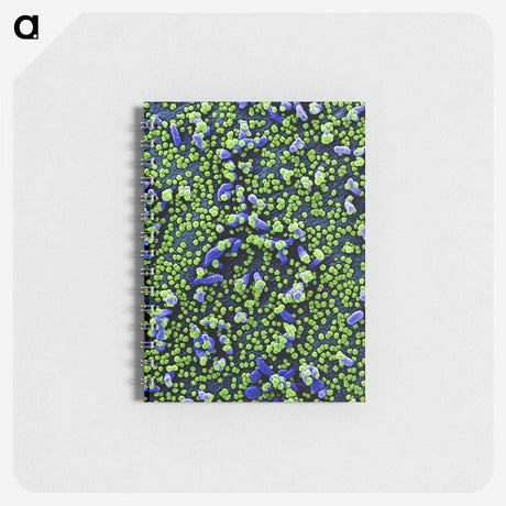 1-18_COVID-19_memo