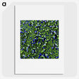 1-18_COVID-19_picture
