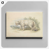 1-18_Charles-Hamilton-Smith_canvas