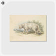 1-18_Charles-Hamilton-Smith_postcard
