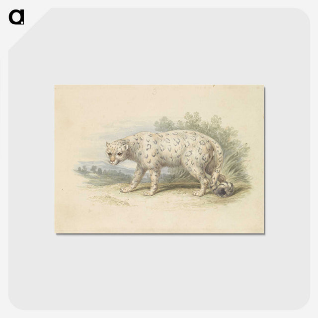 1-18_Charles-Hamilton-Smith_postcard