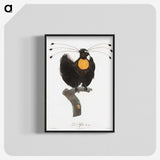 1-18_Des-Oiseaux-de-Paradis_blk-crop