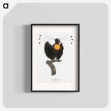 1-18_Des-Oiseaux-de-Paradis_blk