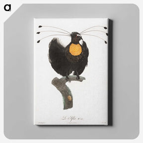 1-18_Des-Oiseaux-de-Paradis_canvas