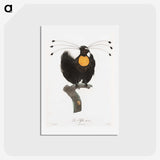 1-18_Des-Oiseaux-de-Paradis_hagaki