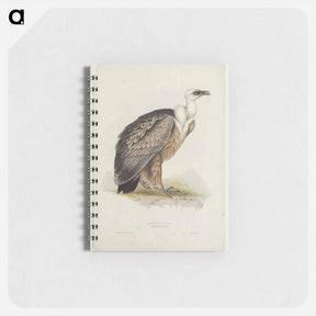 アートメモ帳-Griffon Vulture
 - デトロイト美術館 Memo.