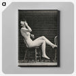 1-18_Eadweard-Muybridge_canvas