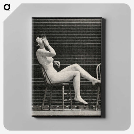 1-18_Eadweard-Muybridge_canvas