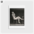 アートポストカード-Smoking Nude
 - エドワード マイブリッジ Postcard.
