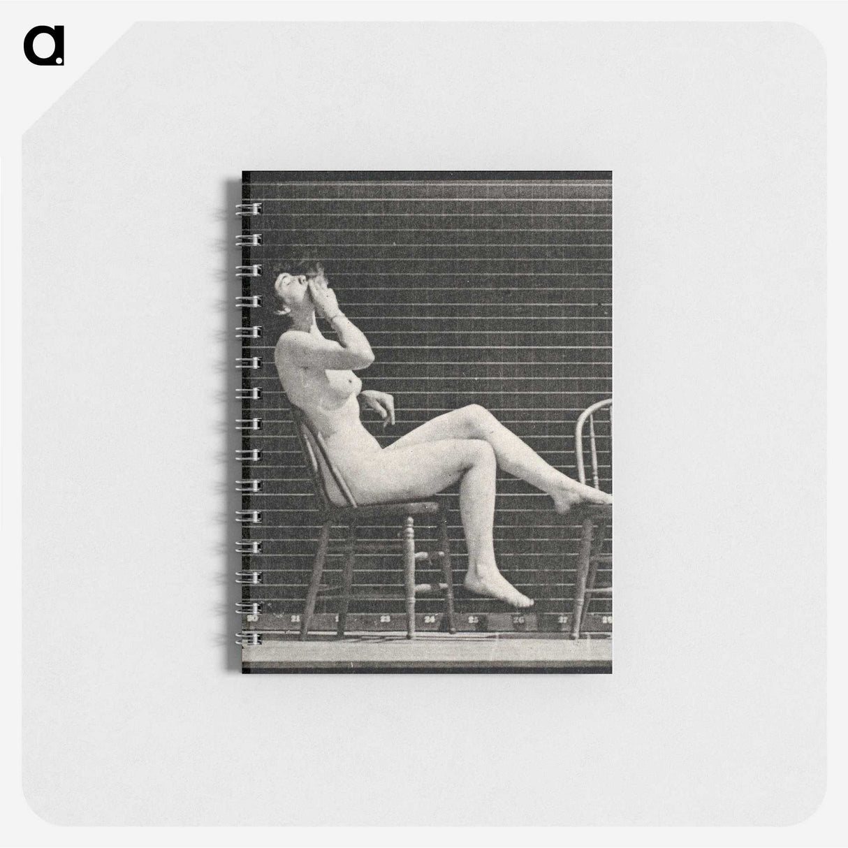 1-18_Eadweard-Muybridge_memo