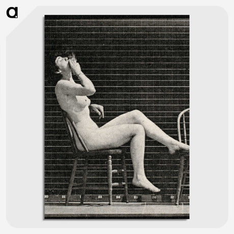 1-18_Eadweard-Muybridge_picture-crop