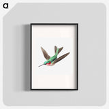 Colorful vintage hummingbird illustration - エルンスト ヘッケル Poster.