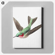 1-18_Ernst-Haeckel_canvas