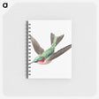 1-18_Ernst-Haeckel_memo
