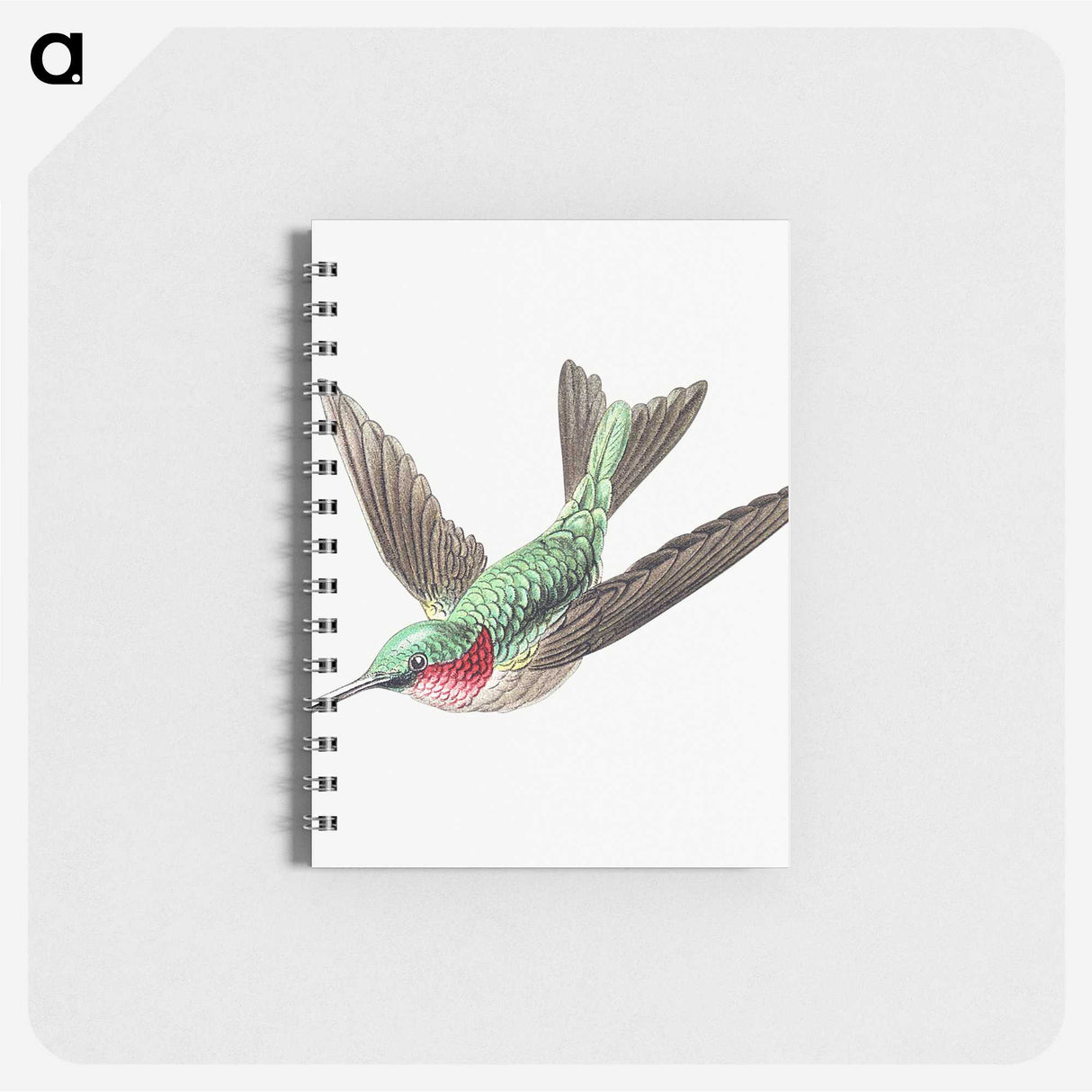 1-18_Ernst-Haeckel_memo