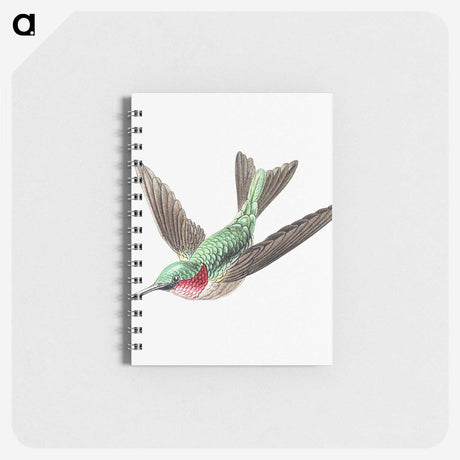 1-18_Ernst-Haeckel_memo