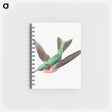 アートメモ帳-Colorful vintage hummingbird illustration - エルンスト ヘッケル Memo.