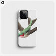 1-18_Ernst-Haeckel_phone