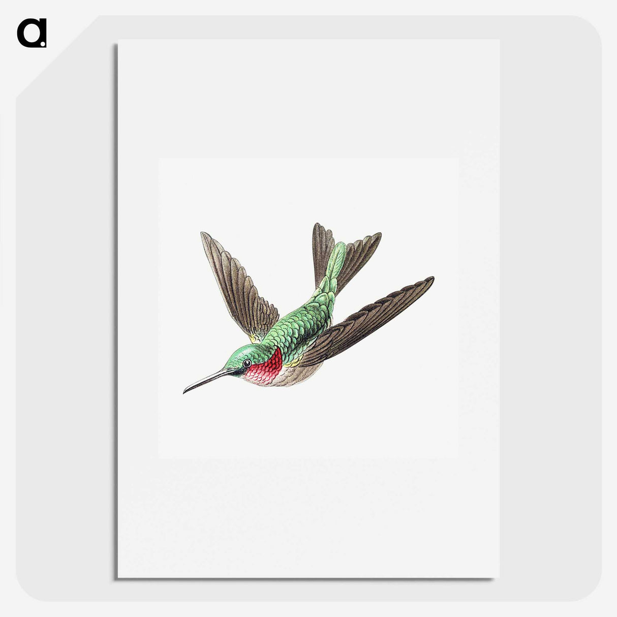 1-18_Ernst-Haeckel_picture