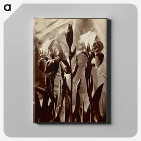1-18_Eugene-Atget_canvas