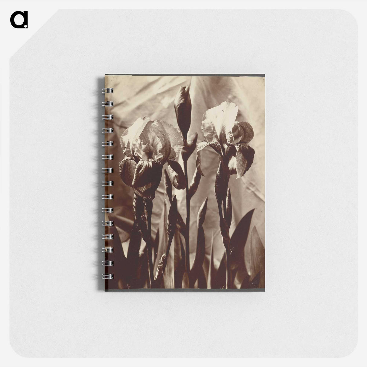 1-18_Eugene-Atget_memo