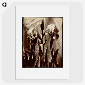 1-18_Eugene-Atget_picture