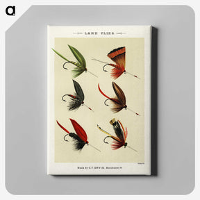1-18_Favorite-Flies-and-Their-History_canvas